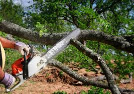 Seasonal Cleanup (Spring/Fall) in Spiro, OK