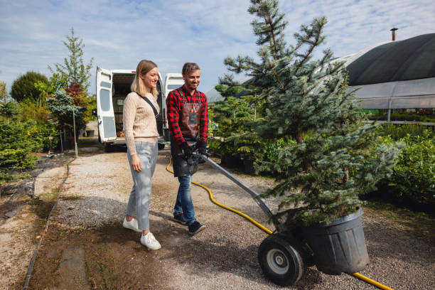 Best Tree Health Inspection  in Spiro, OK