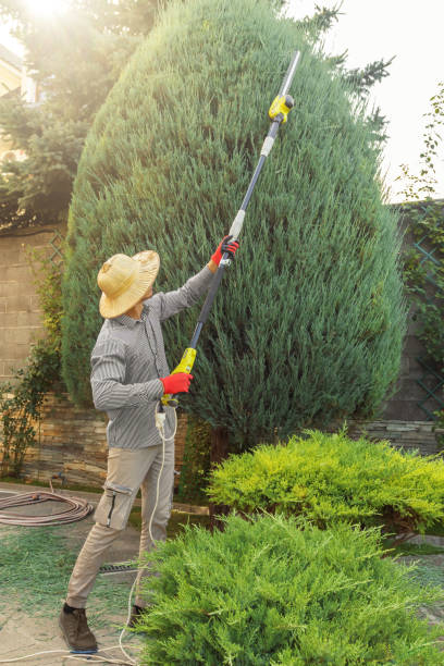 Best Hedge Trimming  in Spiro, OK